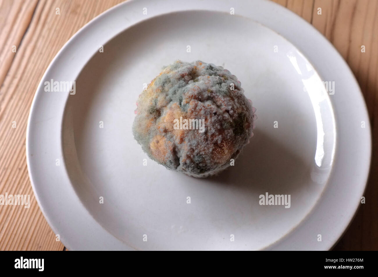 A mouldy cake on a plate. Stock Photo