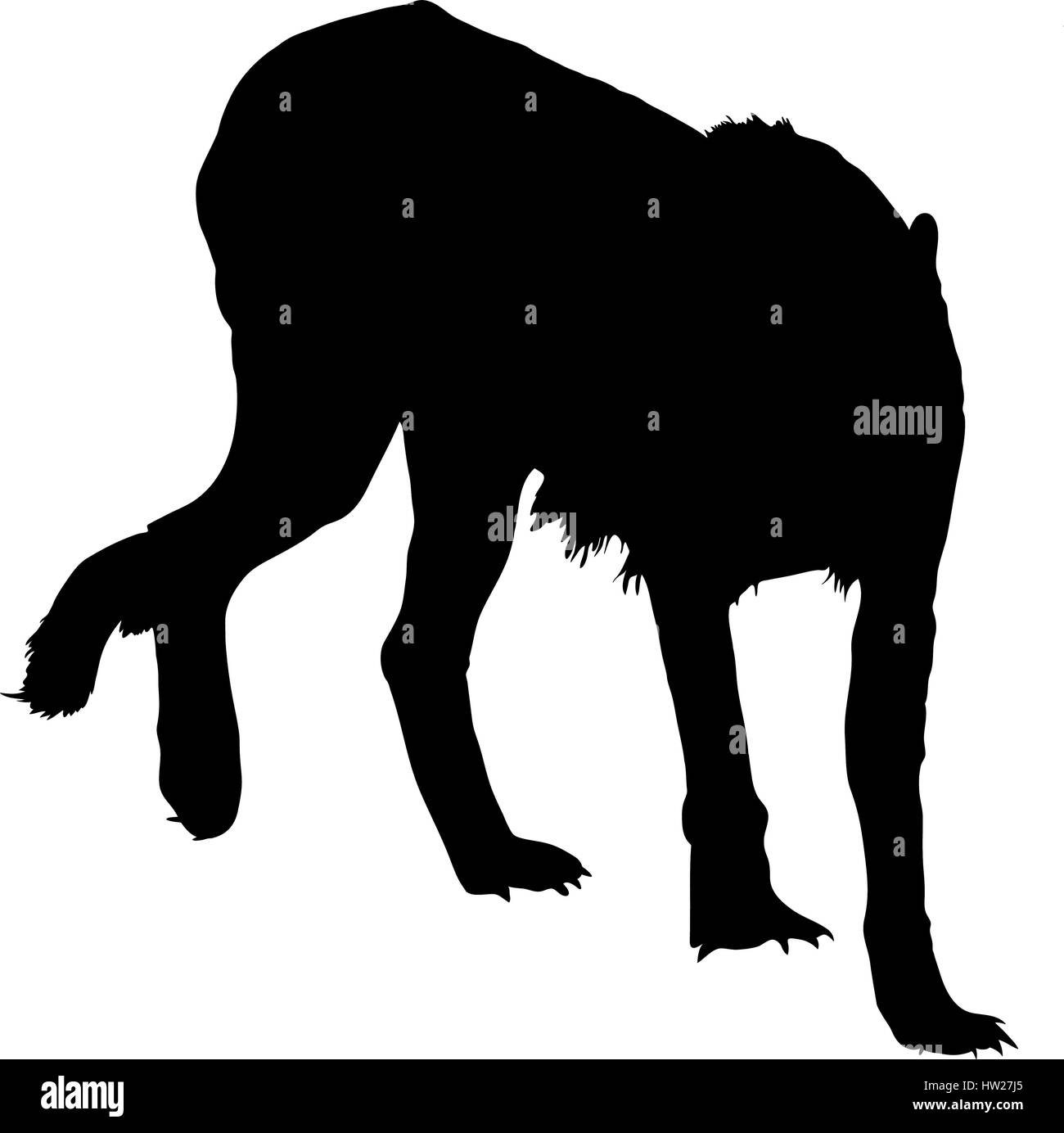 Silhouette of a walking hungry and angry cheetah Stock Vector