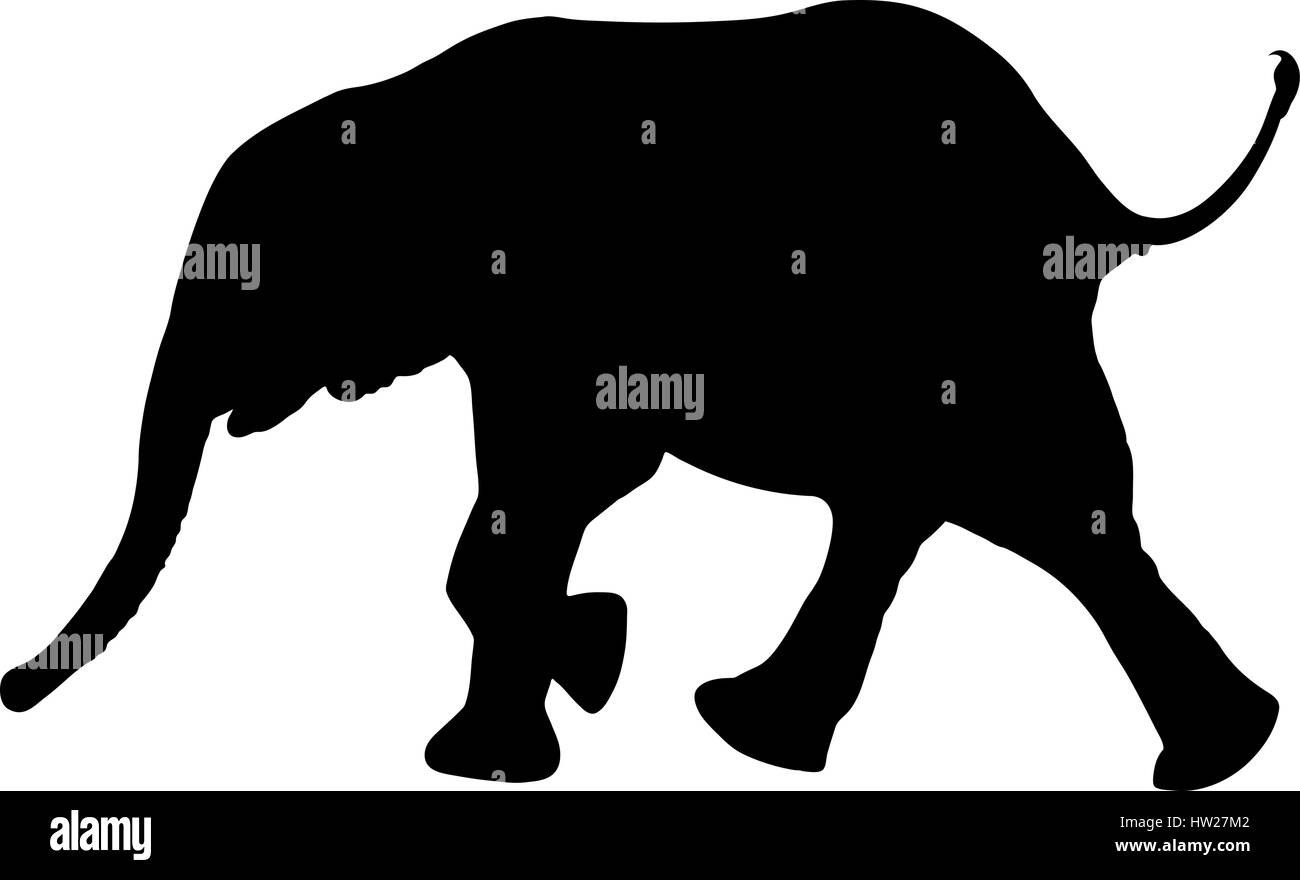 Elephants walking silhouette Black and White Stock Photos & Images - Alamy