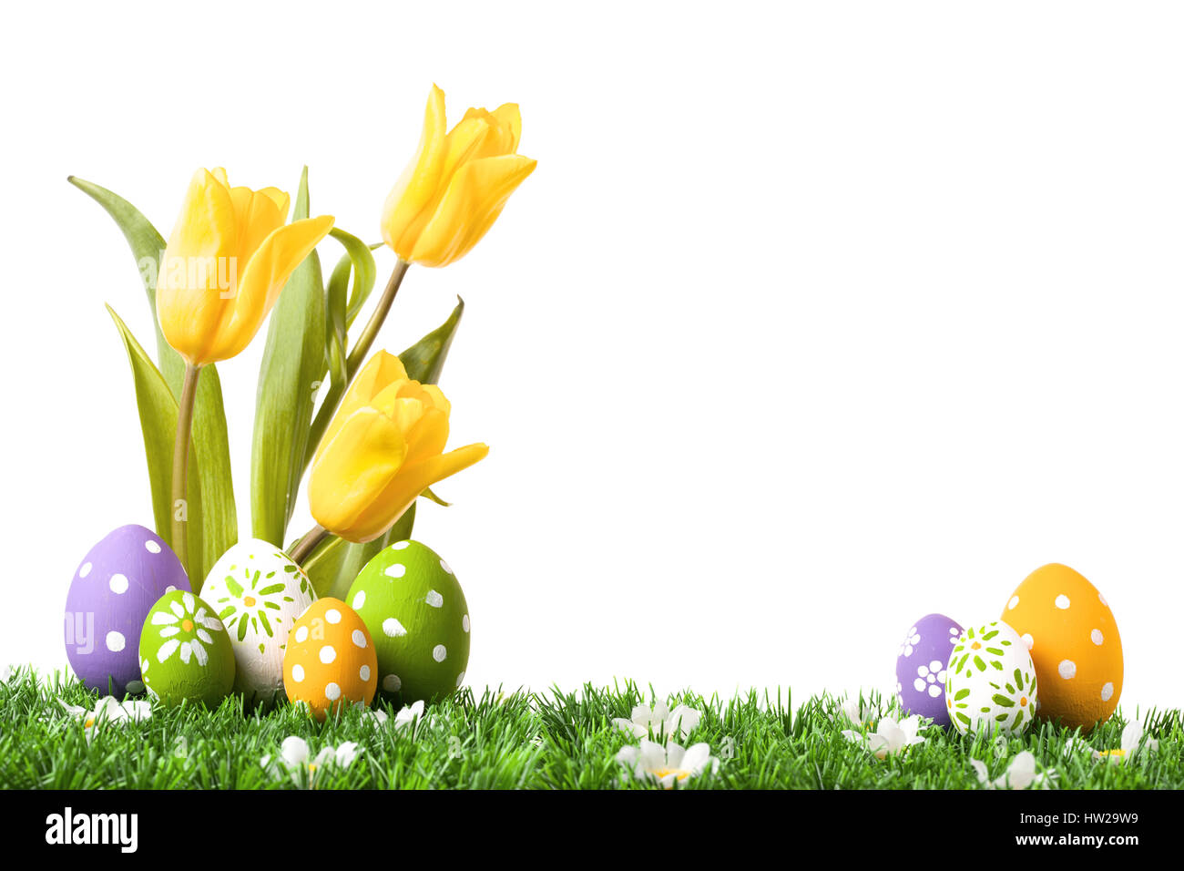 Easter eggs hiding in the grass with tulips isolated on white Stock Photo