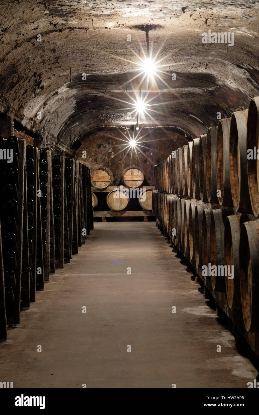 Wine aging in barrels at Caves Primavera in the Bairrada region of