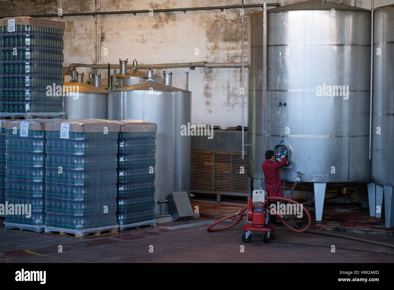 Stainless steel vats for wine fermentation at Caves Primavera in the Bairrada region of Portugal, Europe Stock Photo