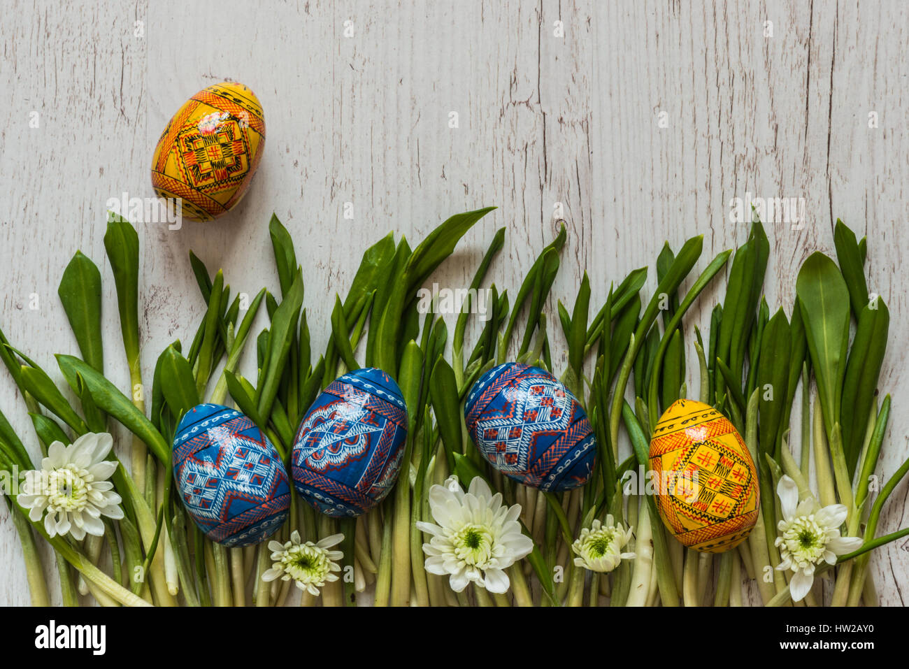 Easter Background with easter eggs and spring flowers on green grass Stock Photo