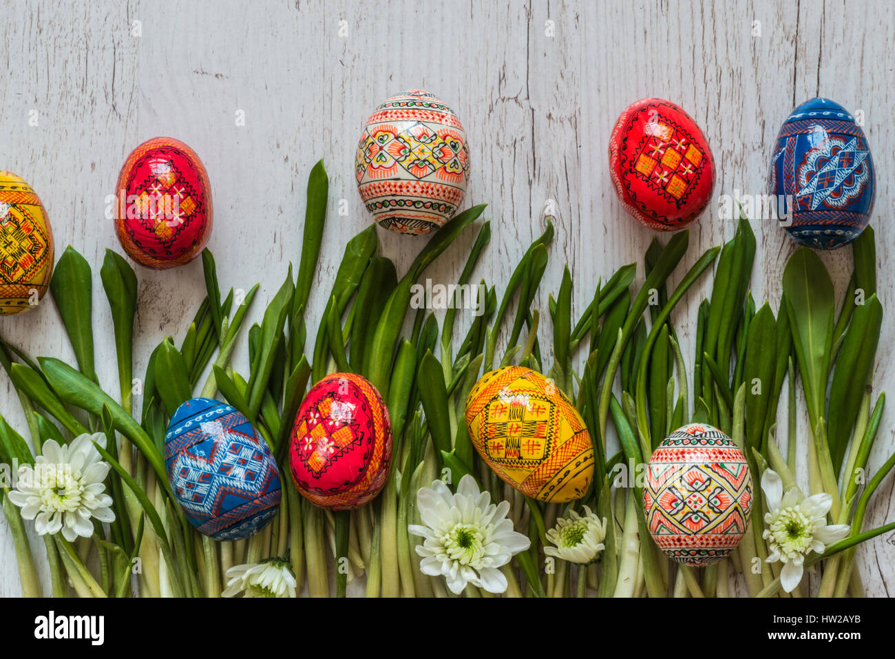 Easter Background with easter eggs and spring flowers on green grass Stock Photo