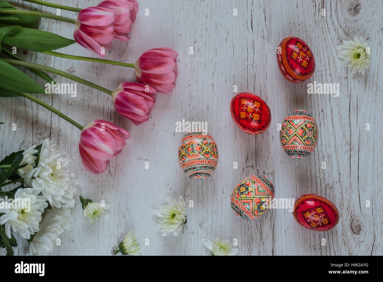 Easter Background with easter eggs and pink tulips on light wooden ...