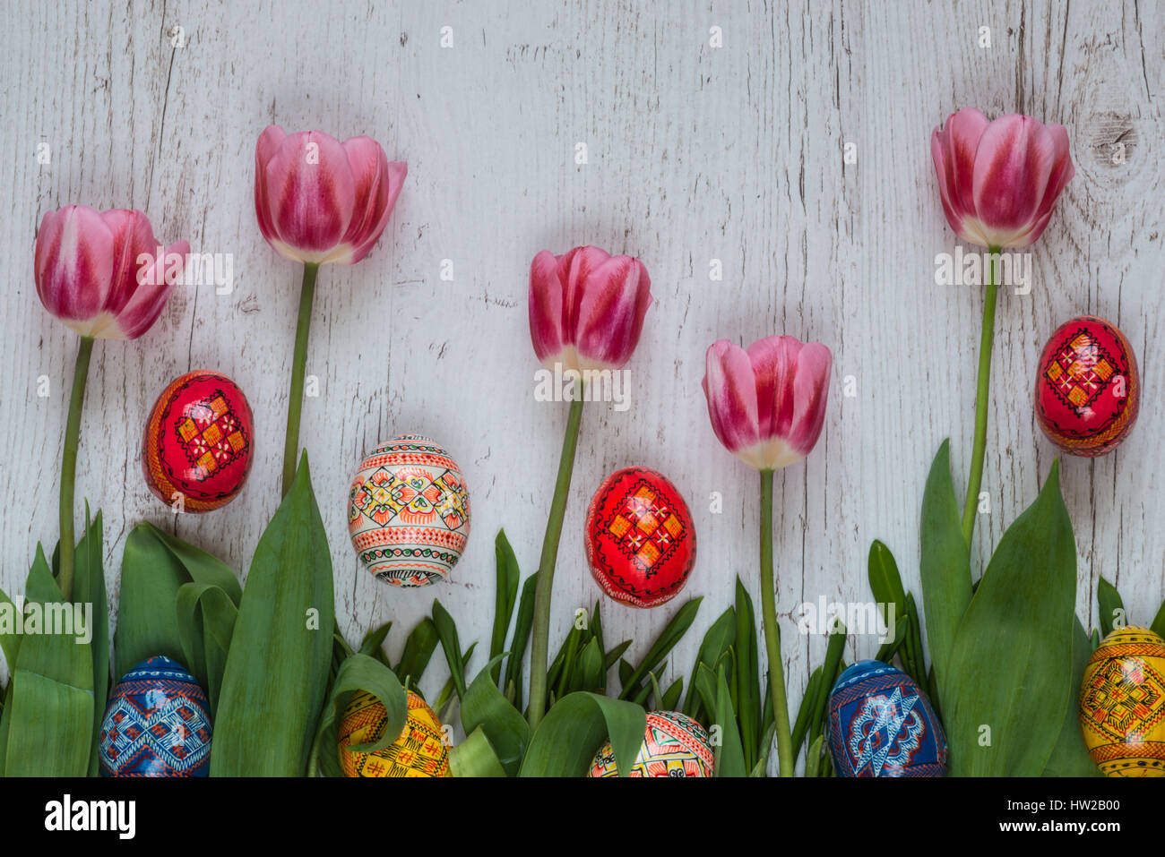 Easter Background with easter eggs and pink tulips on green grass Stock ...