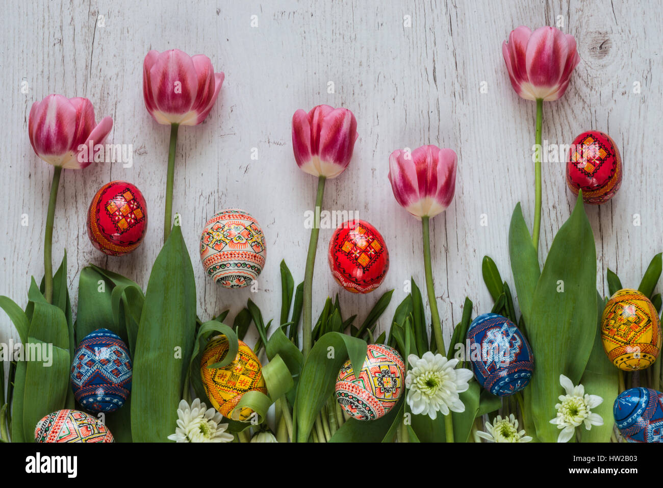 Easter Background with easter eggs and pink tulips on green grass Stock ...