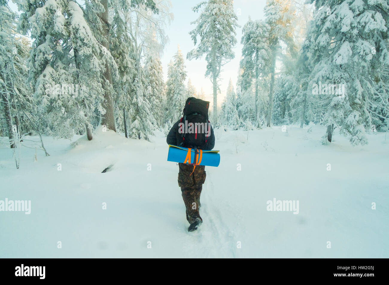 Caucasian man hiking in snowy forest Stock Photo - Alamy