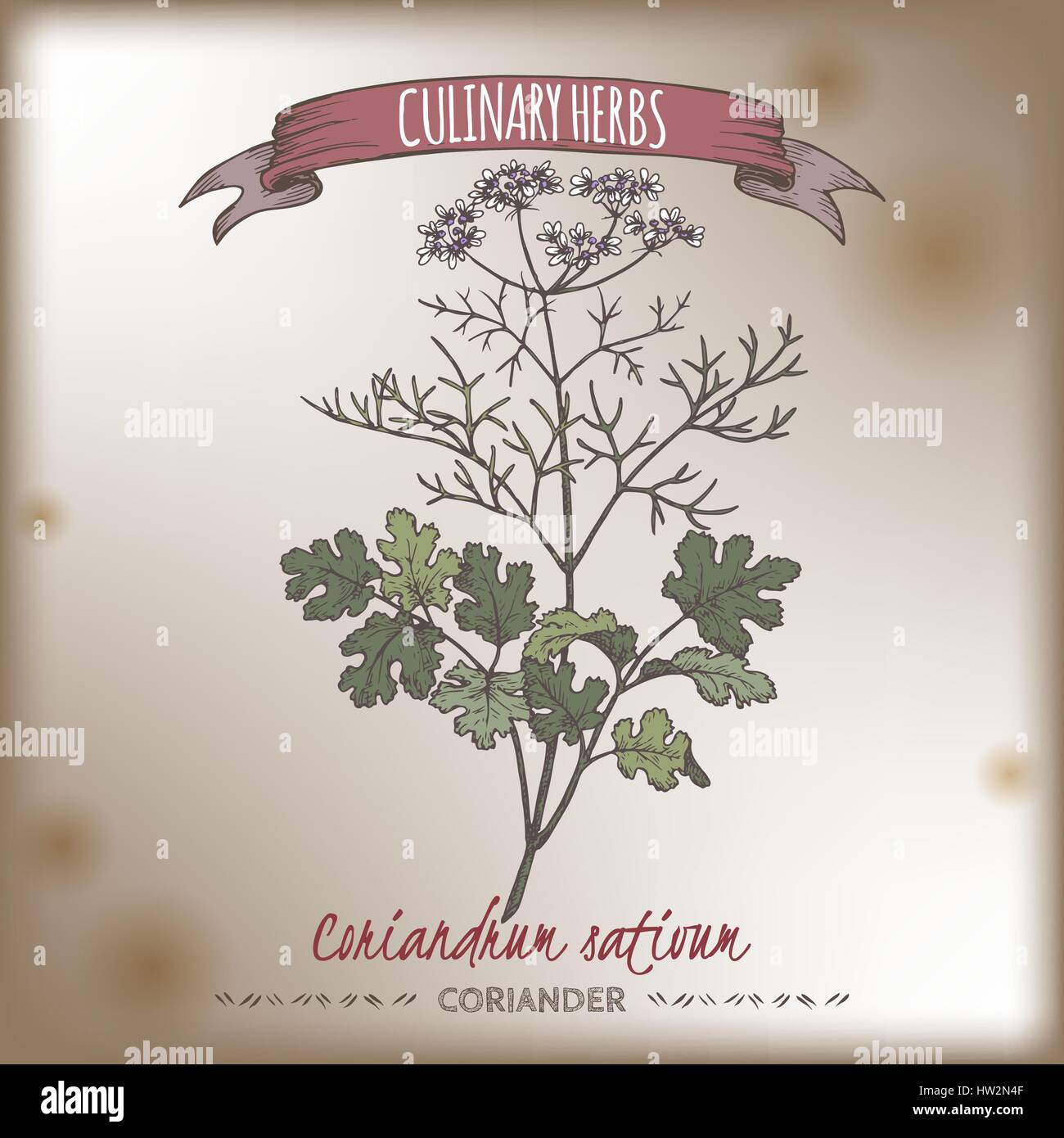 Traditional chinese medicine europe Stock Vector Images Alamy