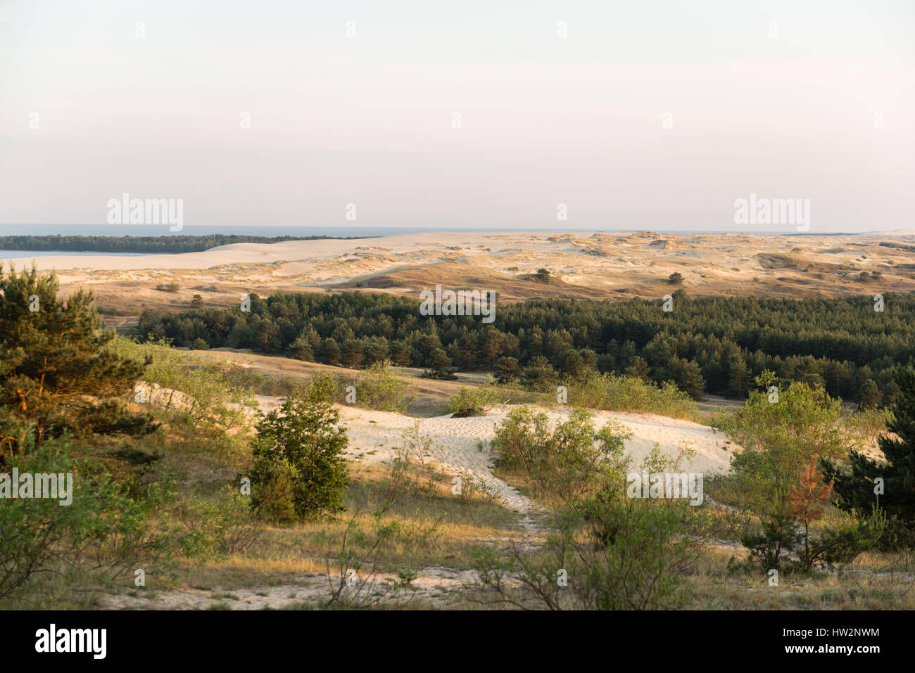 View south to the Russian - Lithuanian border from the Parnidis Dune on the Curonian Spit, Nida, Lithuania, Eastern Europe Stock Photo