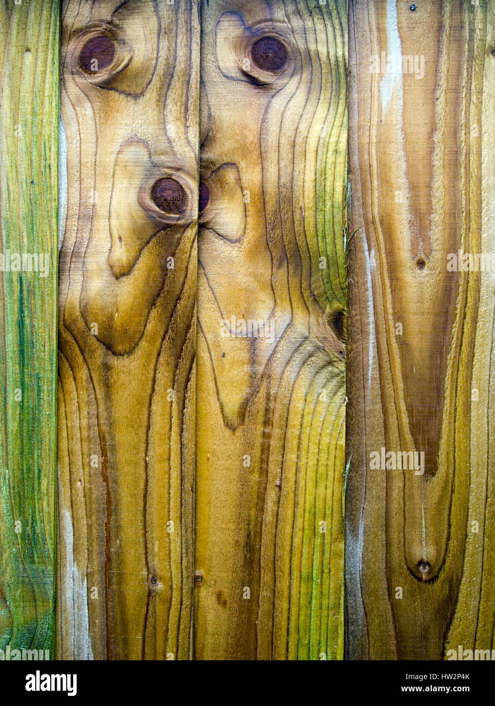 Wet slatted fence after rain. Beautiful strange shapes. Stock Photo