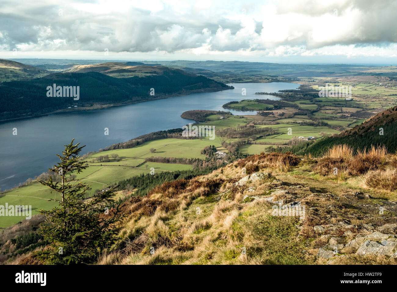 View of Bassenthwaite Lake from Dodd Fell, near Keswick in The English Lake District,Cumbria Stock Photo