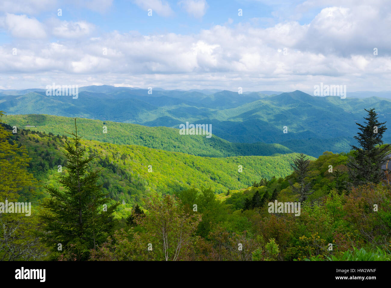 View of Appalachian Mountains from Roan Mountain in North Carolina Stock Photo