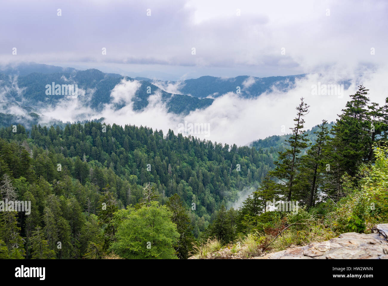 View of mountains from Alum Cave trail Stock Photo