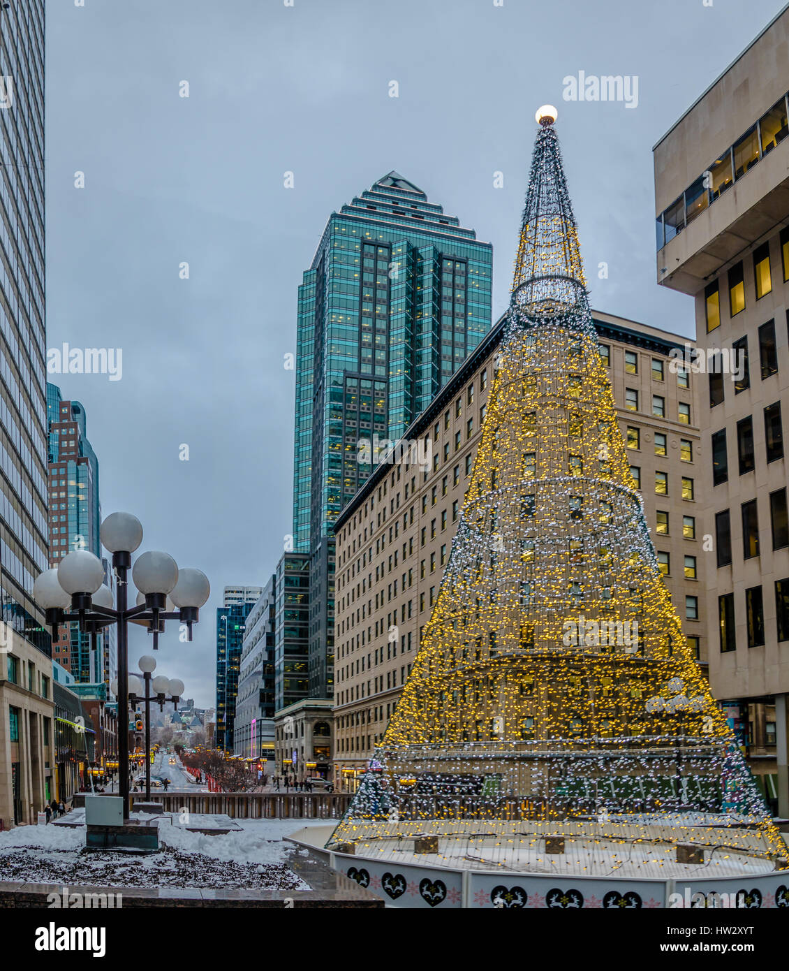 Illuminated Christmas Tree in Downtown Montreal - Quebec, Canada Stock Photo