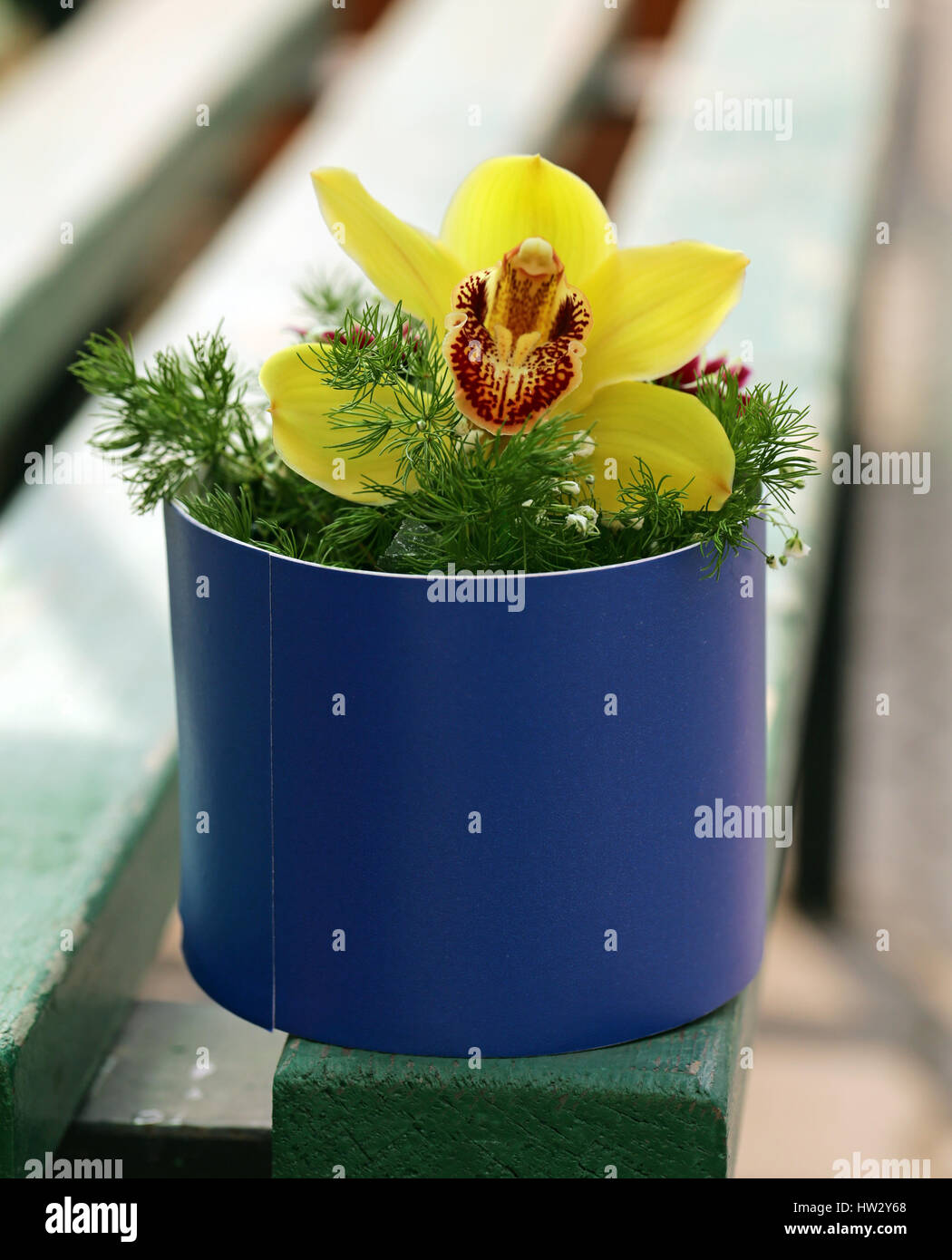 Orchid in blue vase hi-res stock photography and images - Alamy