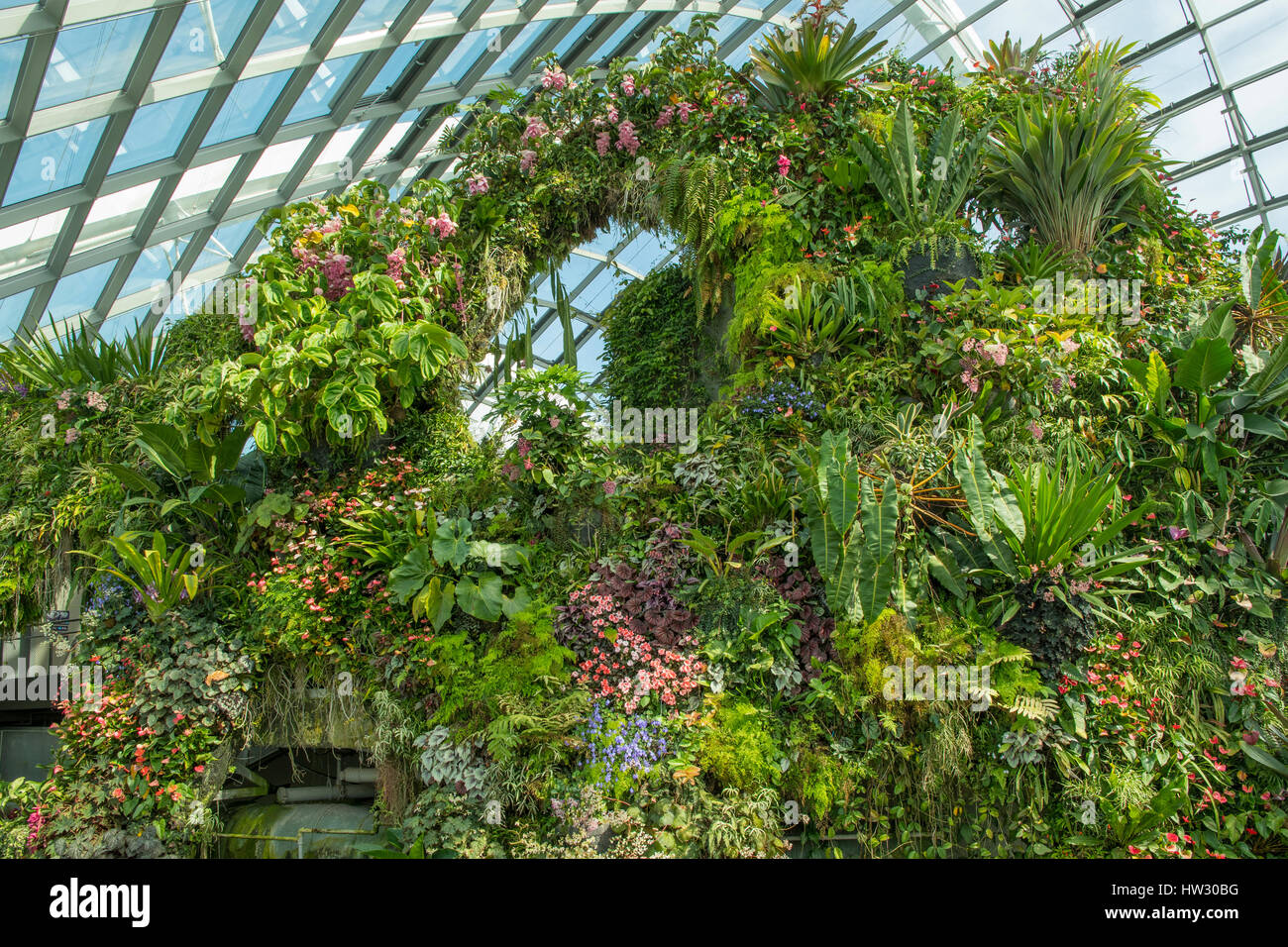 View in the Cloud Forest, Gardens by the Bay, Singapore Stock Photo