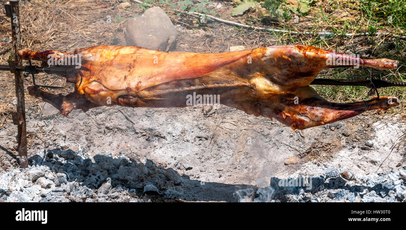 Full Sheep With Rice Roasted Whole Sheep High Resolution Stock Photography and Images - Alamy