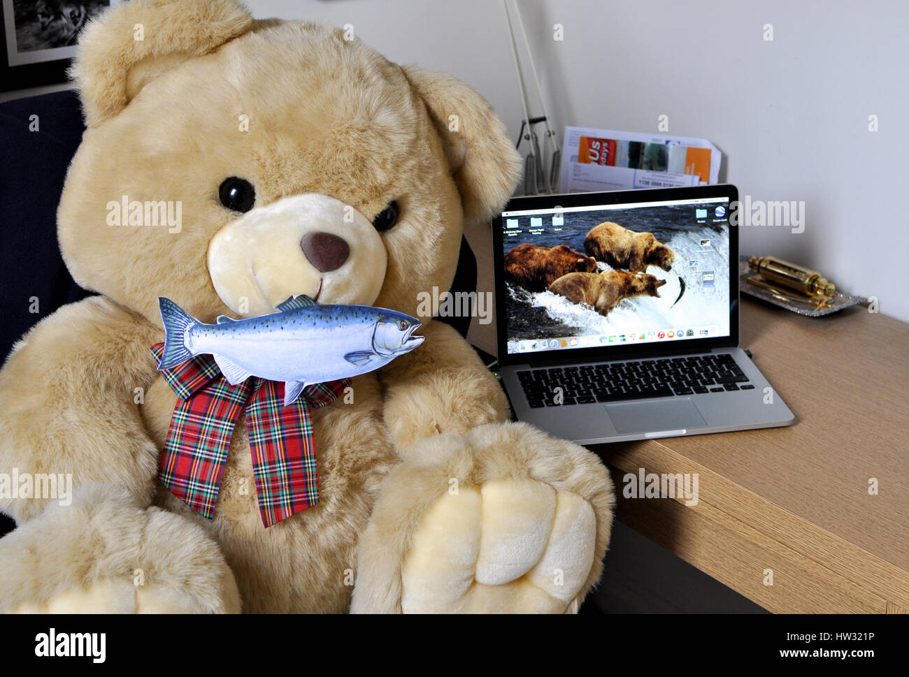fishing teddy bear