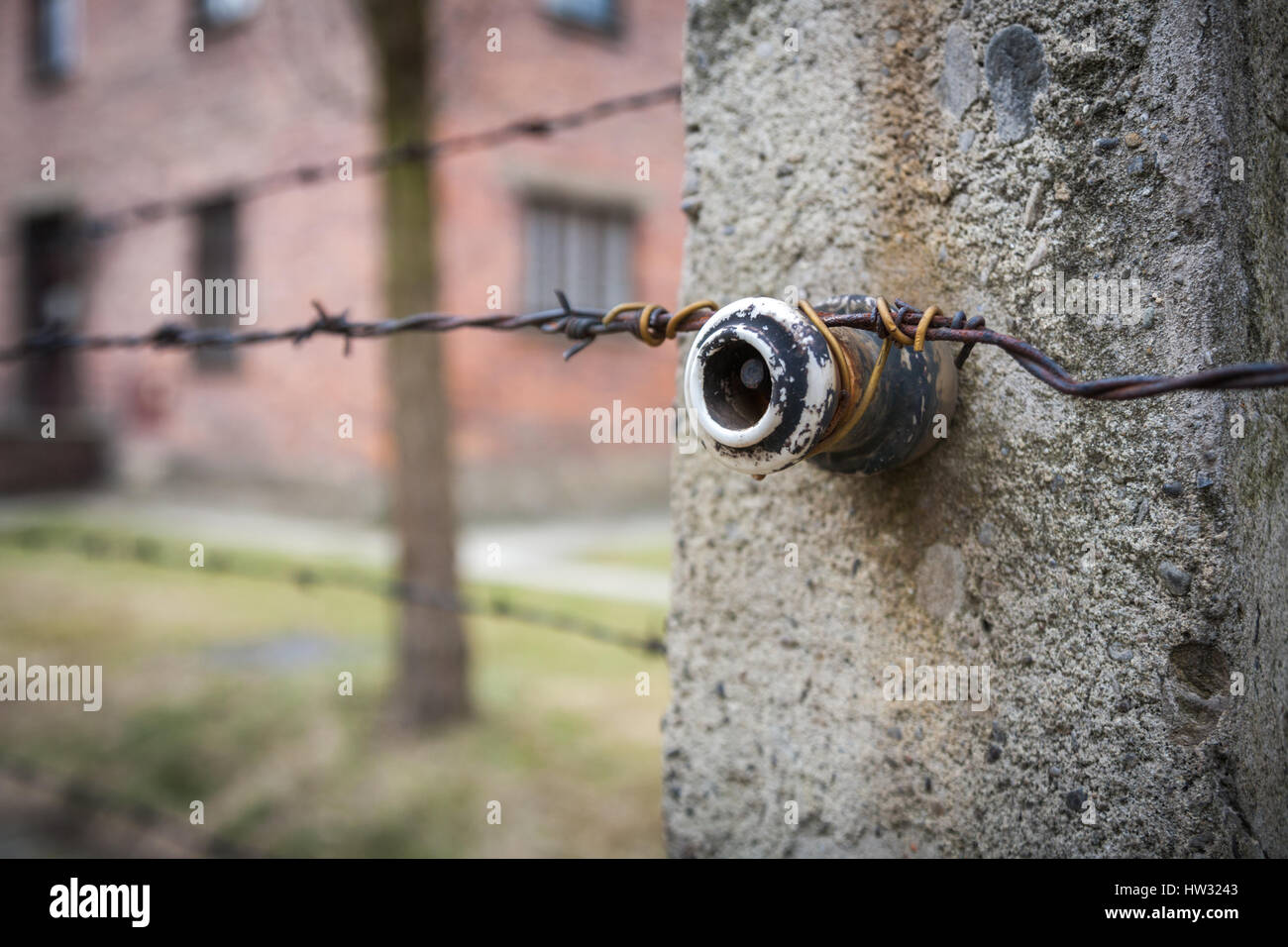 Close up view of the electric fence insulators Auschwitz Birkenau concentration death camp Poland Stock Photo