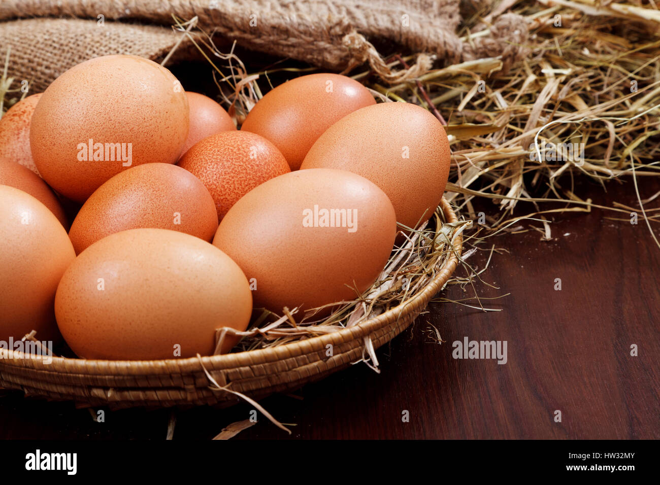 nature chicken eggs in nest Stock Photo - Alamy