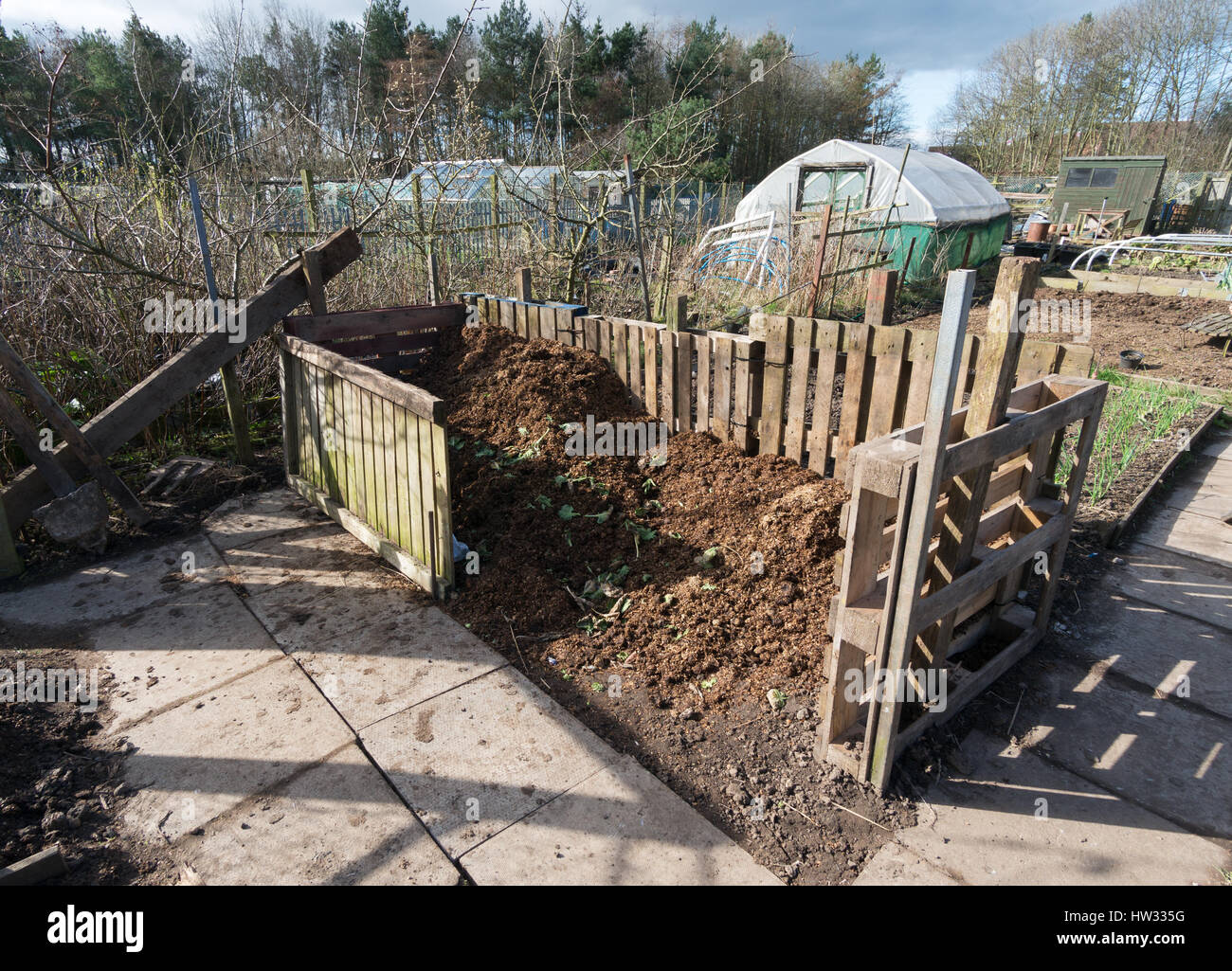 An allotment compost bin made from recycled pallets. Stock Photo