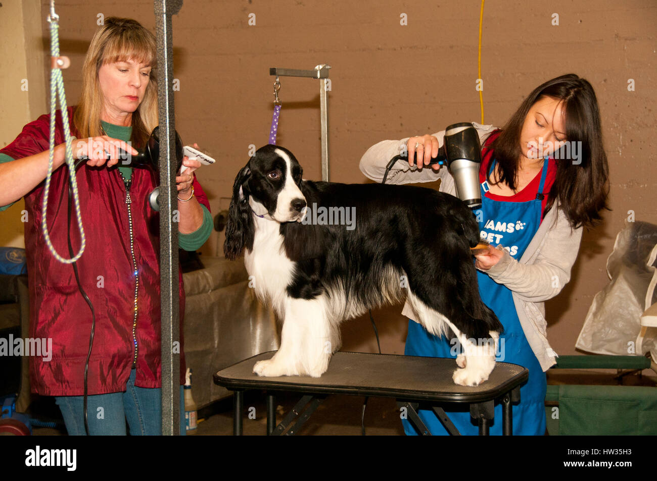 Golden gate kennel club 2025
