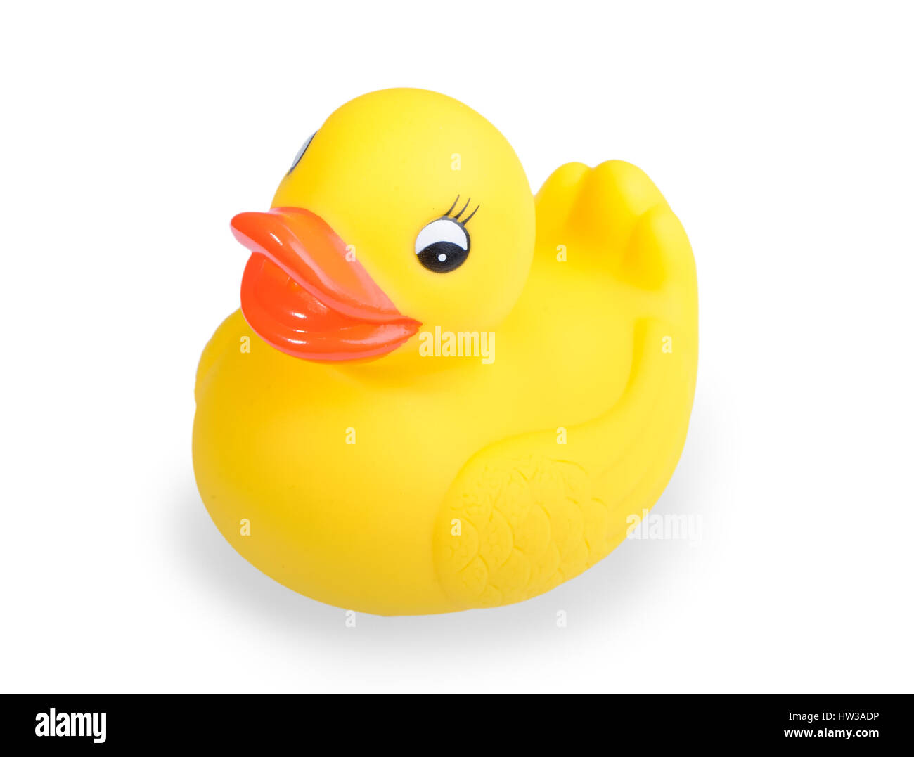 Yellow duck toy isolated on white background Stock Photo - Alamy