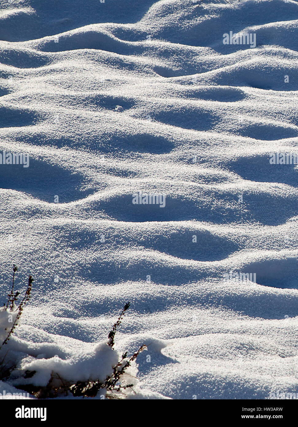 Intimate Landscape of Snow Fall Little Lever Bolton Stock Photo