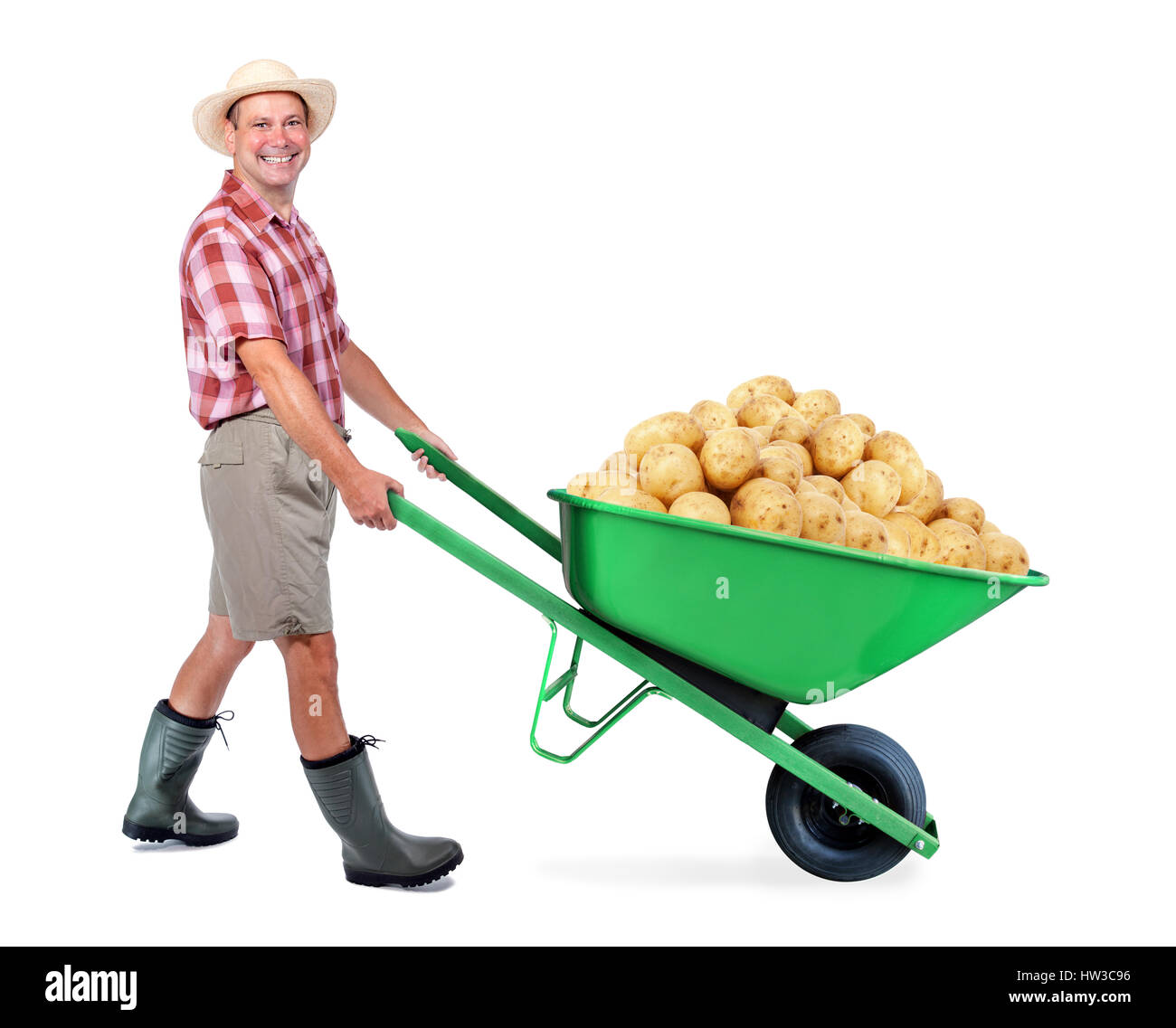 Cheerful gardener carrying a pile of large potato. A man pushing a wheelbarrow with big heap of potato. Successful vegetable grower farmer. Stock Photo