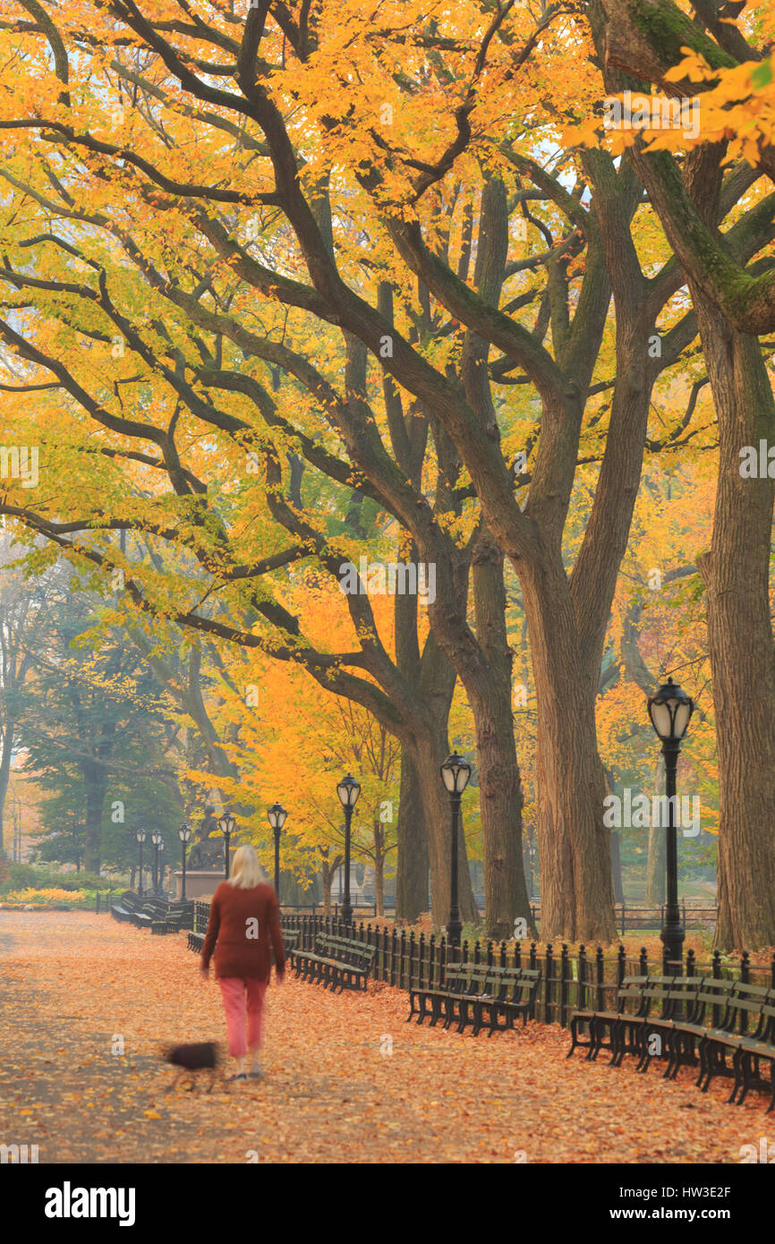 USA, New York City, Manhattan, Central Park Stock Photo