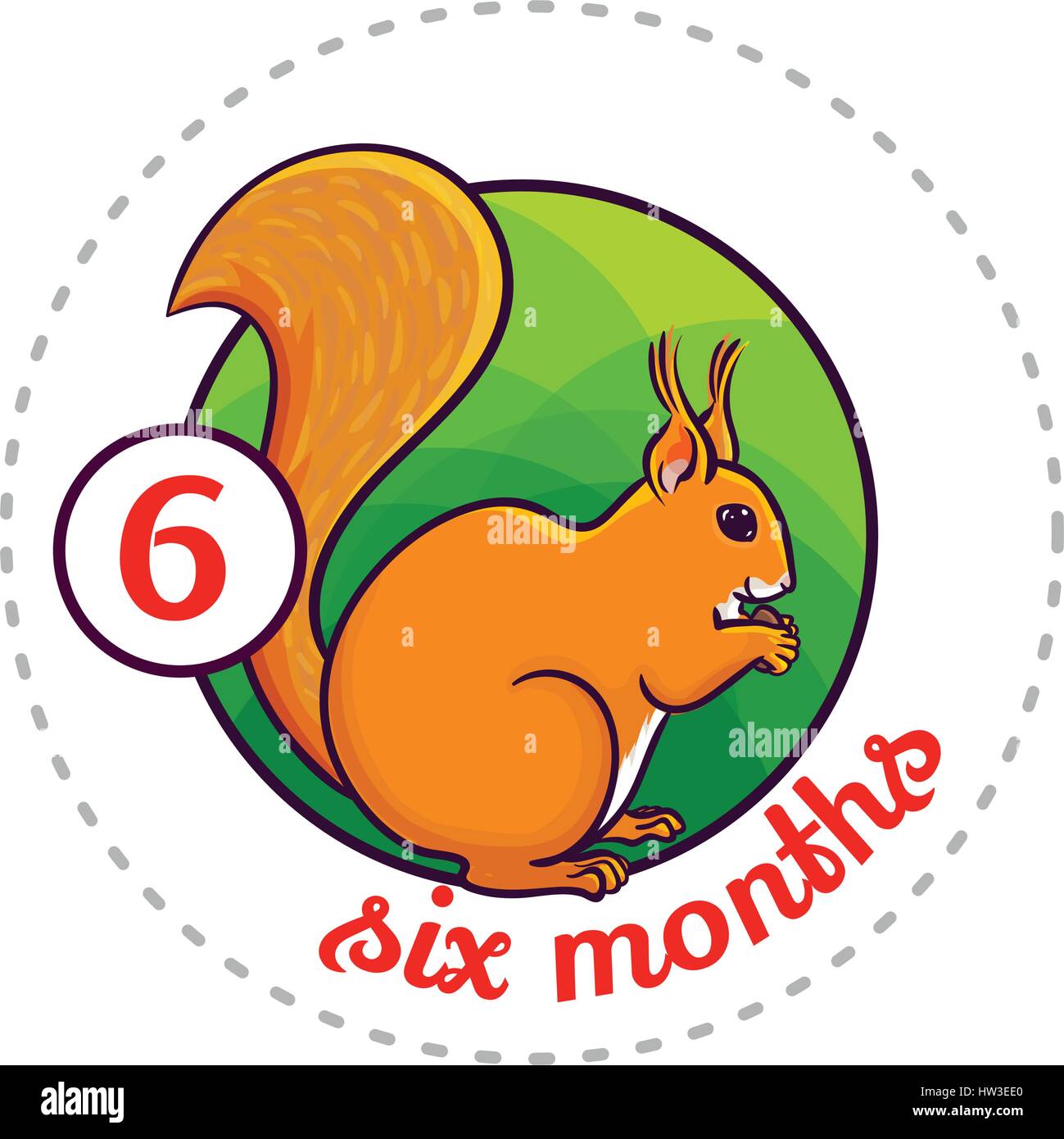 Monthly baby sticker. Cute cartoon animal illustration for little boy or girl. First year, six months. Red tree squirrel eating nut, Stock Vector