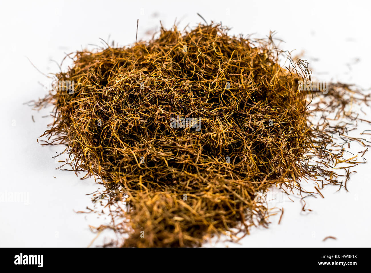 Corn silk Stock Photo