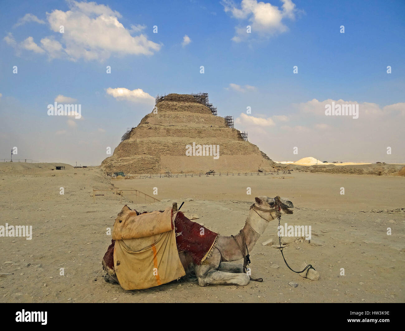 Camel against Dzhoser's pyramid. Photos from a trip. Stock Photo