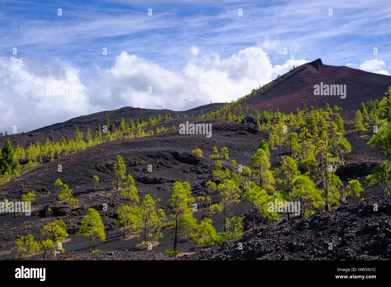 Montaña Negra or Volcán Garachico, lava landscape, at El Tanque, Tenerife, Canary Islands, Spain Stock Photo