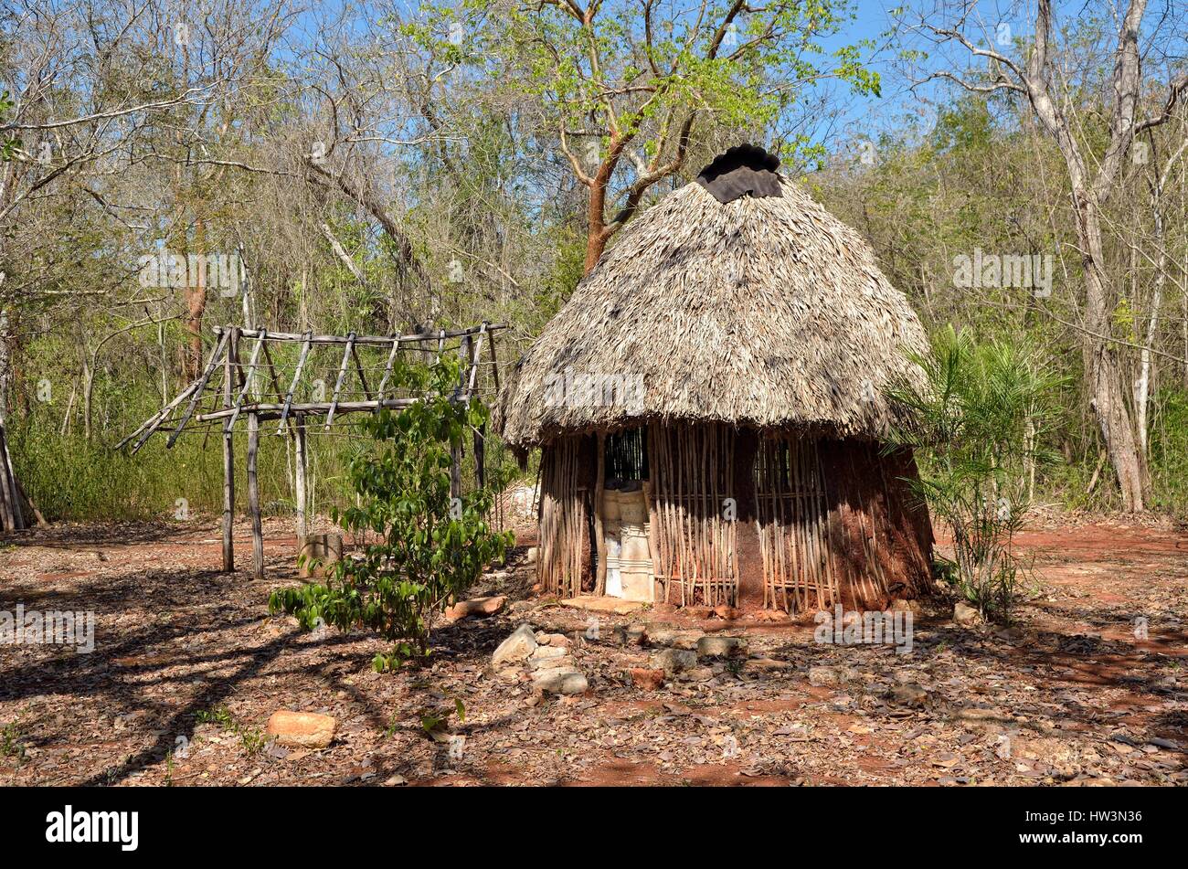 Hut with palm roof as a storage room, historic Mayan city Sayil, Yucatan State, Mexico Stock Photo