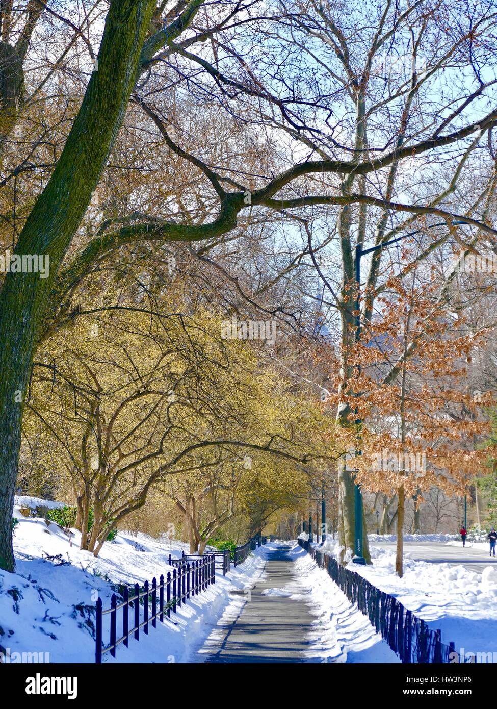 Heavy snow on the ground with trees bursting forth with colorful leaves