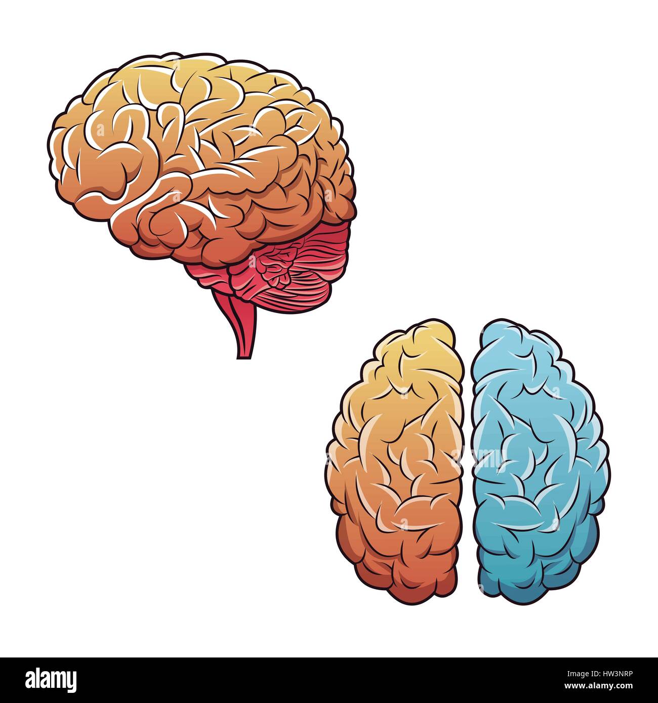 Brain icon top view Stock Vector Images - Alamy