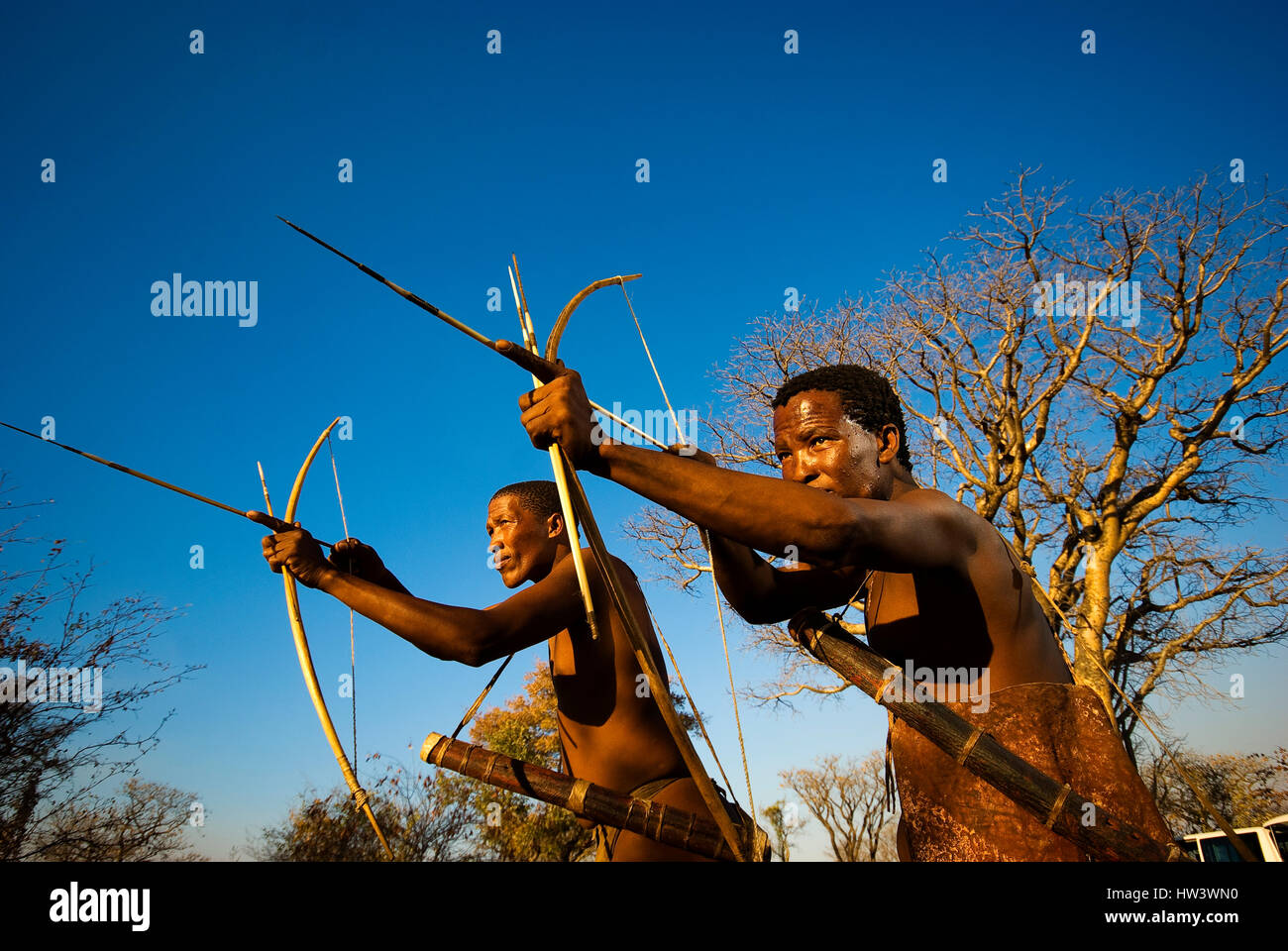 Ju/'Hoansi or San bushmen hunter simulates a hunt with bow and arrow at ...