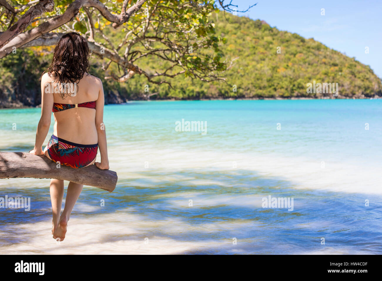 Caucasian woman sitting on branch over tropical beach Stock Photo
