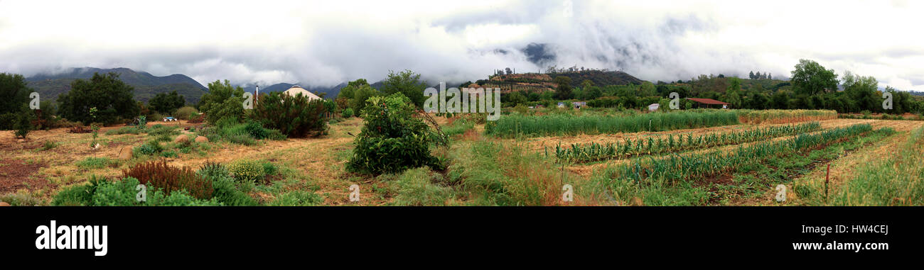 Panoramic view of farm fields in rural landscape Stock Photo