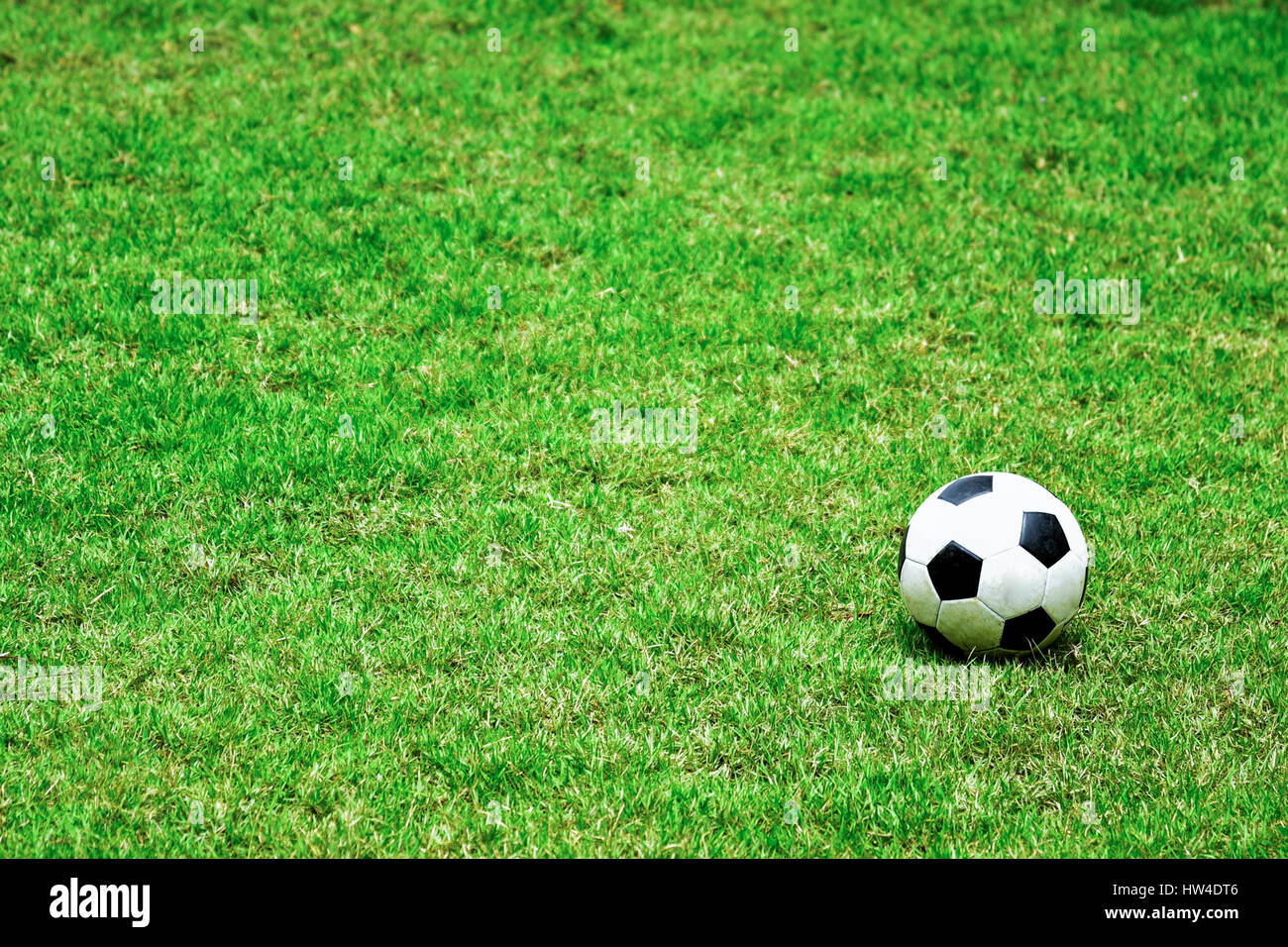 soccer ball on soccer field Stock Photo