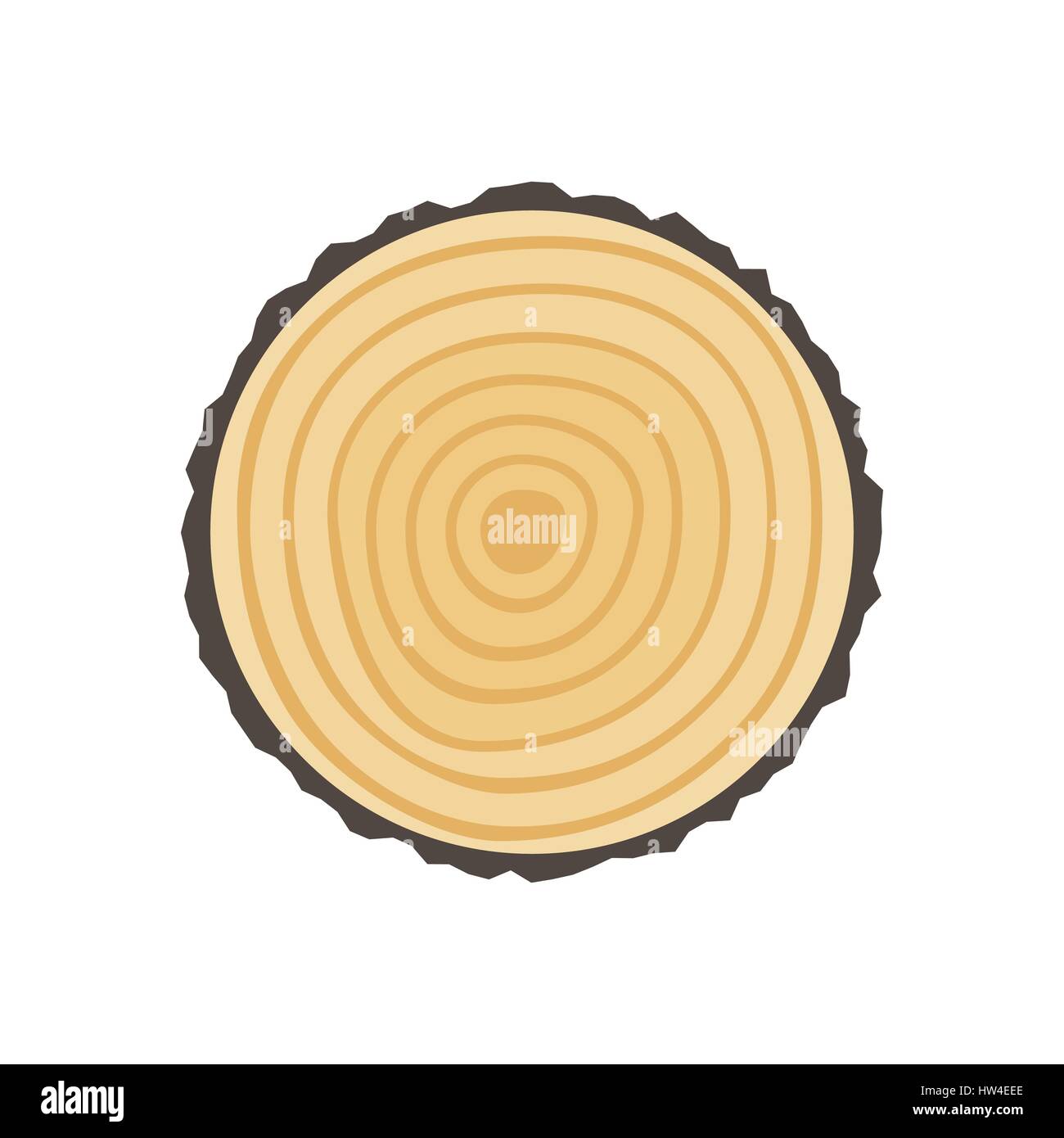 Saw cut tree trunk Stock Vector