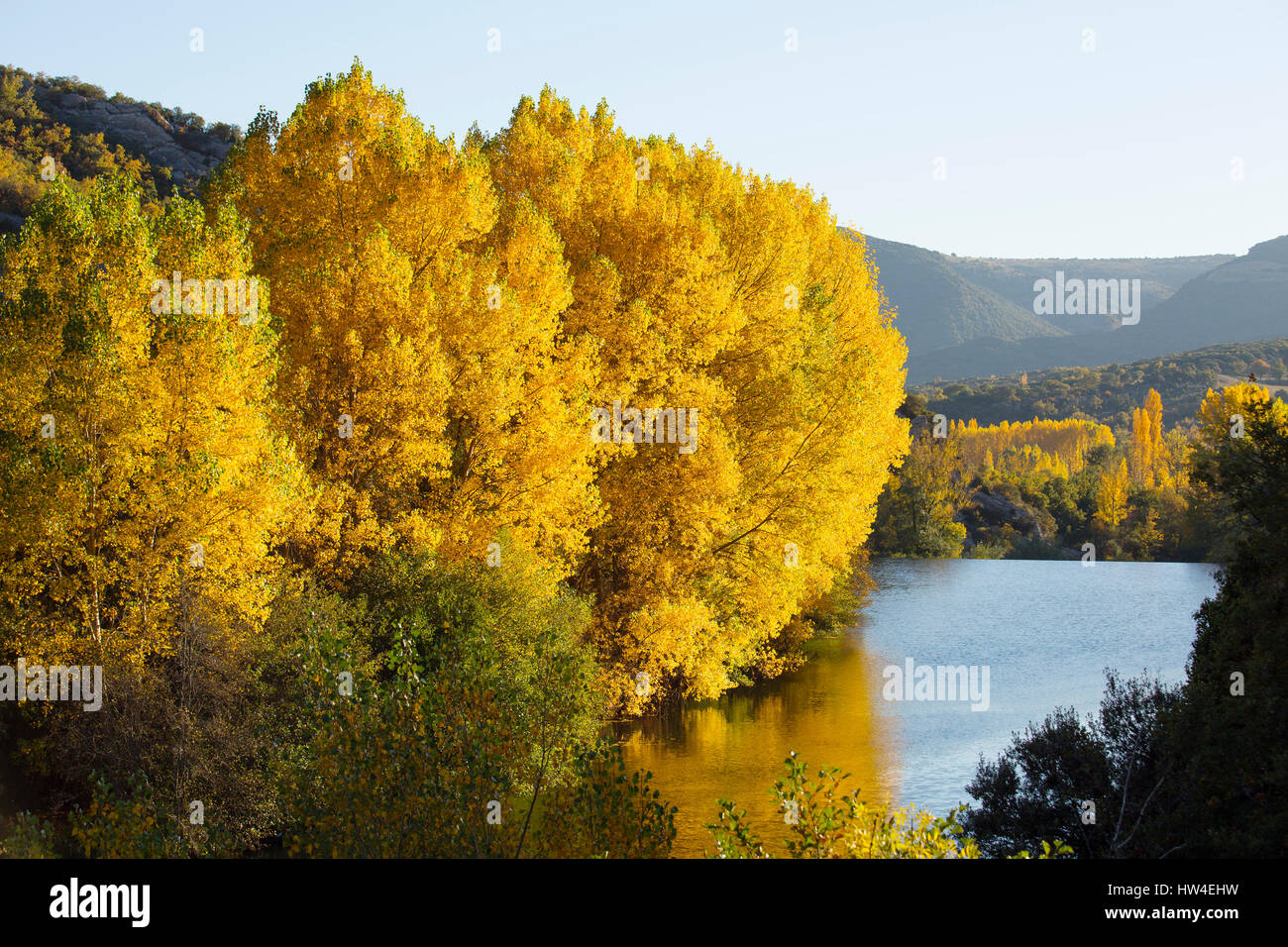 Nature landscape, autumn colors. Ebro river, Burgos Castilla Leon. Spain Europe Stock Photo