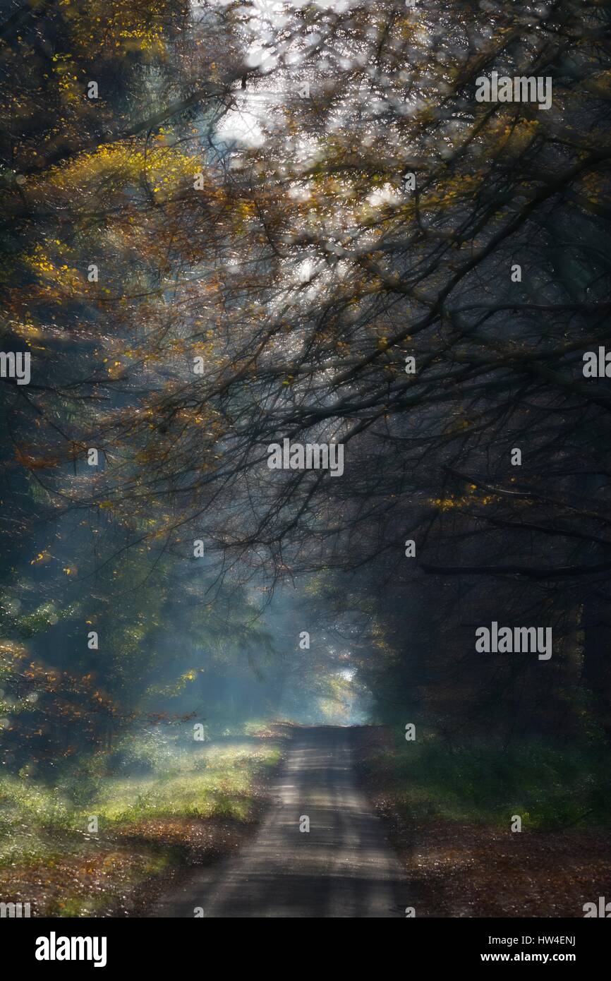 Deserted country lane. Stock Photo