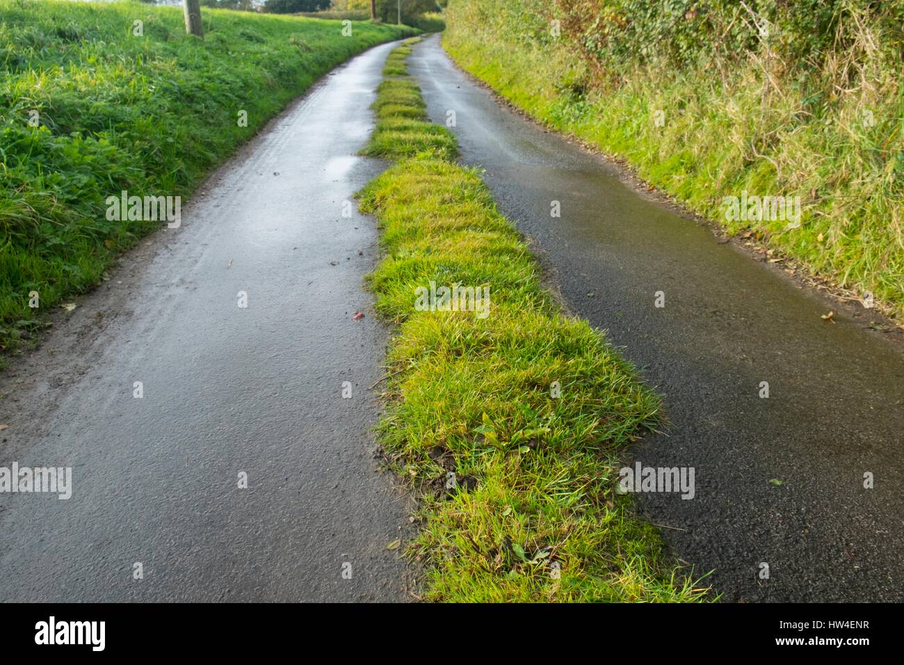 grass-growing-in-middle-of-road-stock-photo-alamy