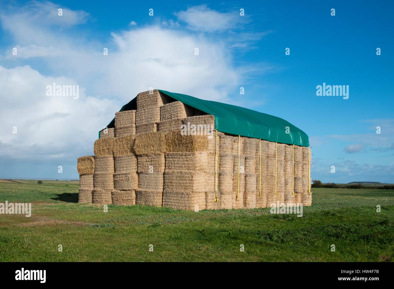 Straw Bales, stacked and covered with tarpaulin, Norfolk, England. Stock Photo