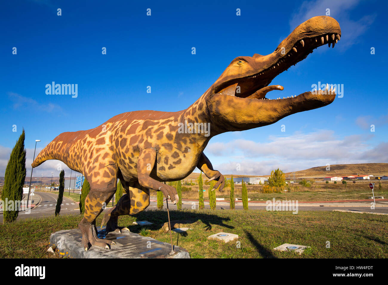 Rexes Hi Res Stock Photography And Images Alamy