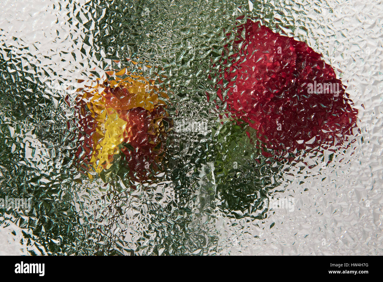 roses under glass Stock Photo Alamy