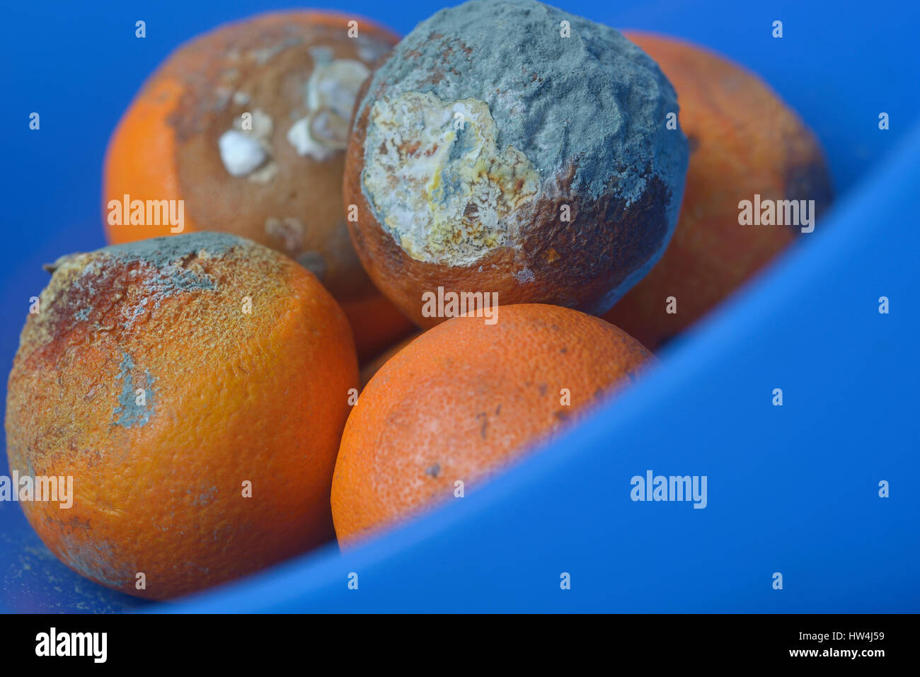 Rotten Oranges High Resolution Stock Photography and Images Alamy